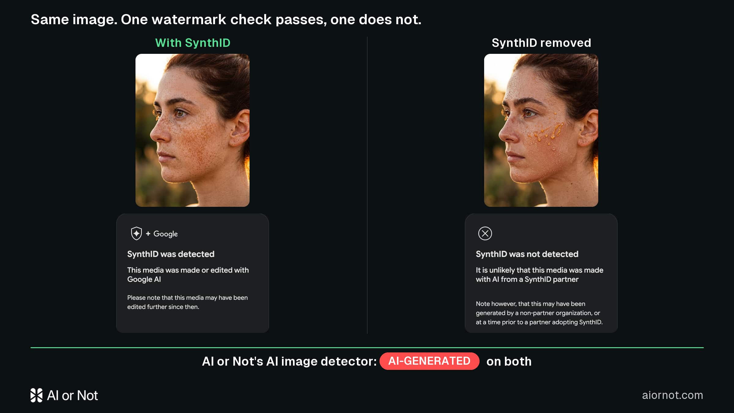 The freckled portrait: identical images, one detected, one not
