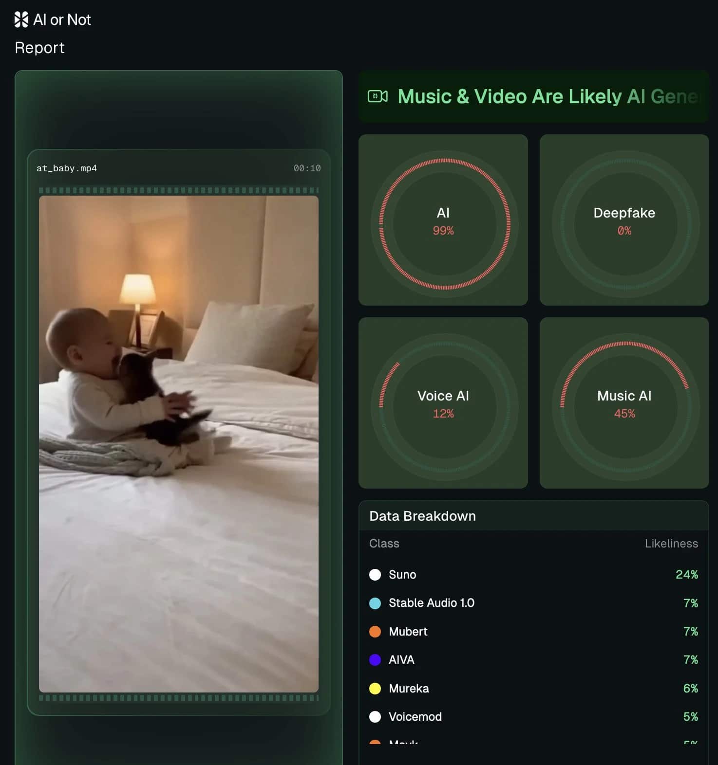 Cat Babies AI detection report