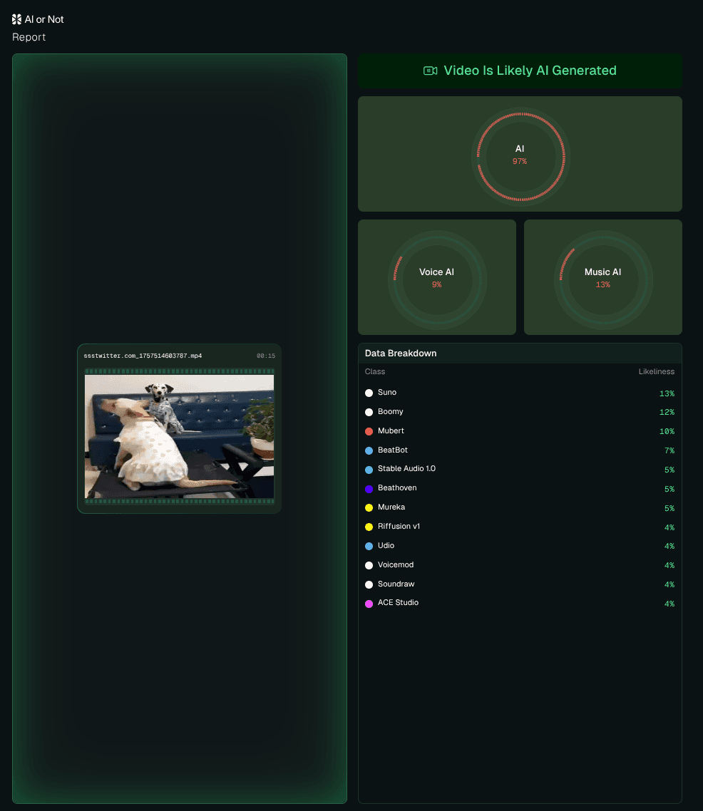 AI Dog Video Report AI Dog Video Report