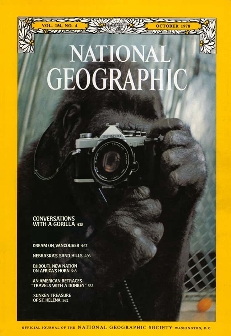 Guide to AI Photography: Recreate Iconic National Geographic Covers with AI (Prompts Included!) Guide to AI Photography: Recreate Iconic National Geographic Covers with AI (Prompts Included!)